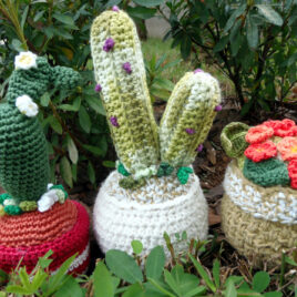 Conjunto de plantinhas